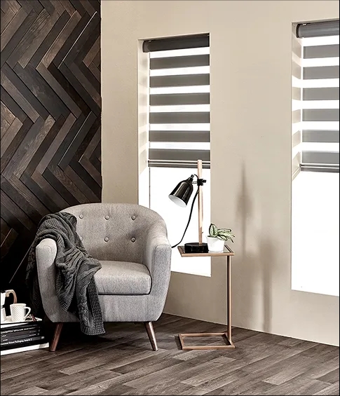 Zebra Blinds